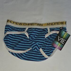 Andrew Christian Gold Waistband Blue Striped Briefs